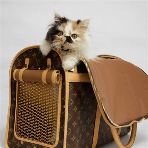 louis vuitton dog dress|authentic louis vuitton pet carrier.